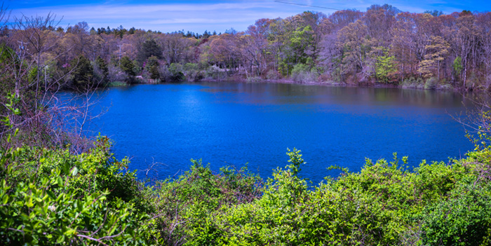 Environmental Friendly Pond Dye